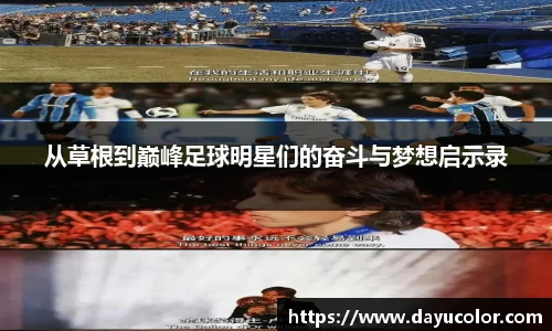 EMC易倍体育官方入口